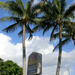 Hotel-Werbeschild - Best Western Naples Inn & Suites