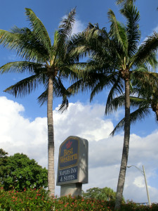 Hotel-Werbeschild - Best Western Naples Inn & Suites