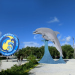 Parkplatz Dolphin Research Center in Marathon mit großer Delfin-Skulptur
