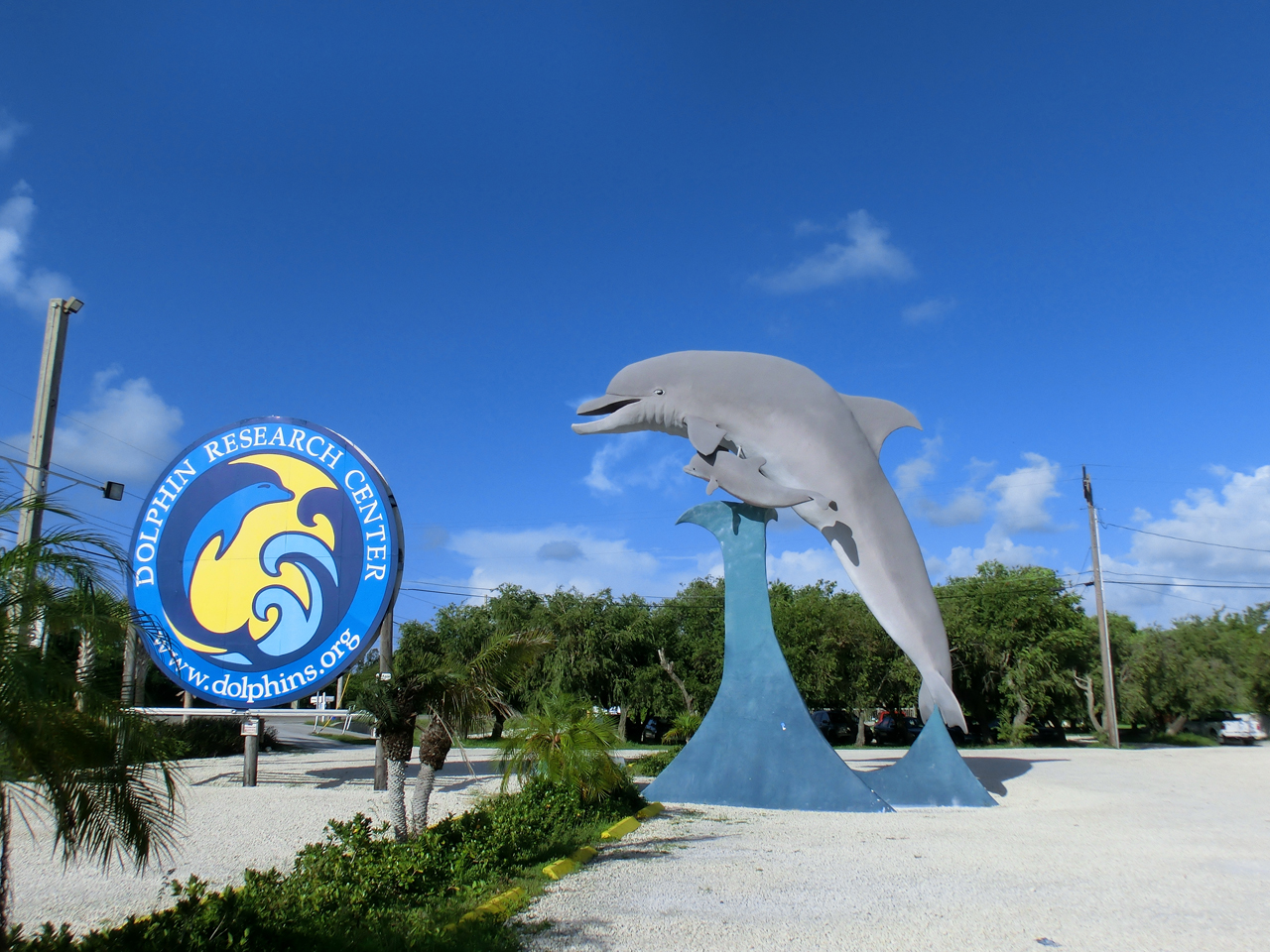 Parkplatz Dolphin Research Center in Marathon mit großer Delfin-Skulptur