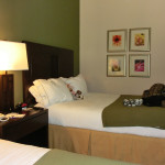 Queen Size Bed im Holiday Inn Express & Suites in Marathon