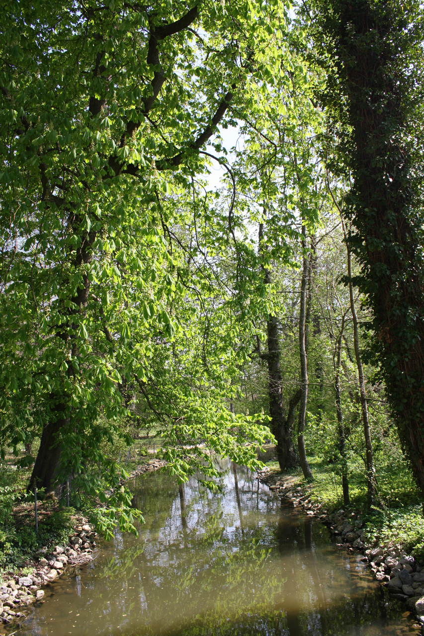 Mühlkanal im Schlosspark von Mergentheim