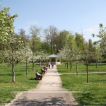 Weg zum Halbmondhäuschen im Schlosspark von Bad Mergentheim